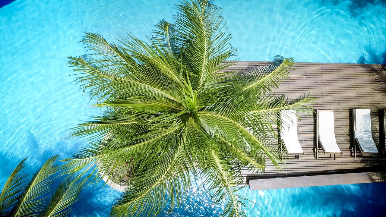 Sombra E Agua Fresca Floresta Praia de Pipa Buitenkant foto